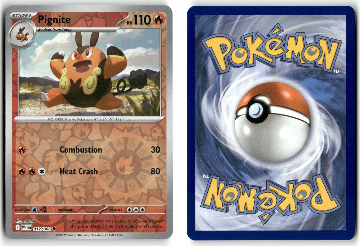 Front + Back scan | Near Mint / English / Reverse Holofoil