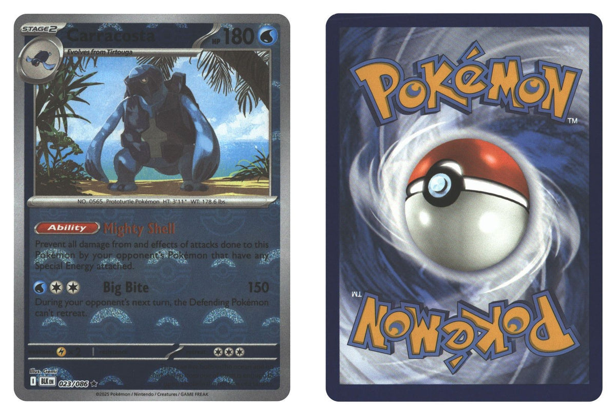 Front + Back scan | Near Mint / English / Holofoil