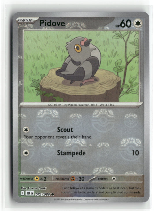Pidove (Master Ball Pattern) Common SV: Black Bolt 071/086 NM
