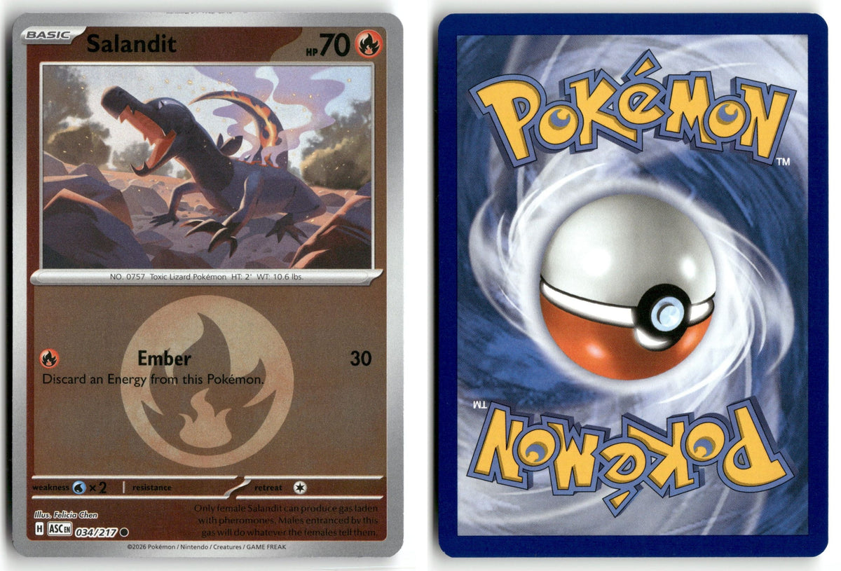 Front + Back scan | Near Mint / English / Reverse Holofoil