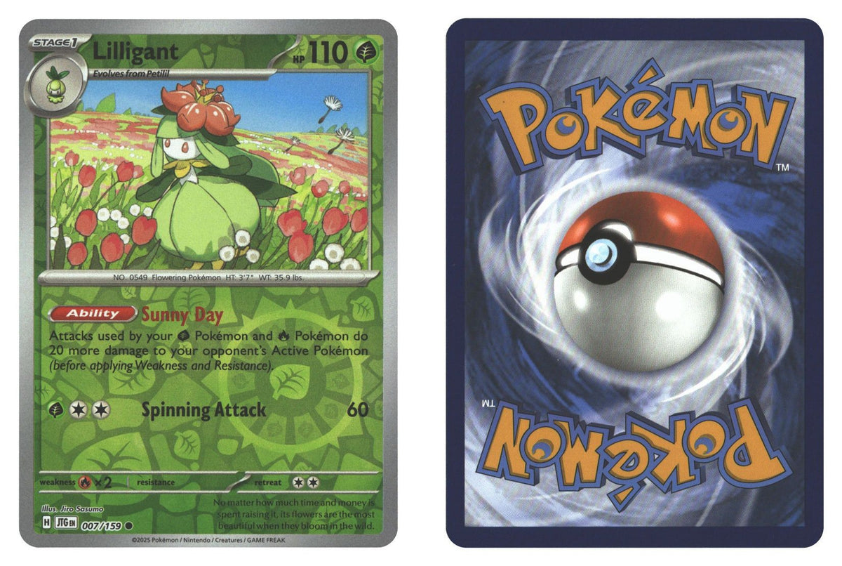 Front + Back scan | Near Mint / English / Reverse Holofoil