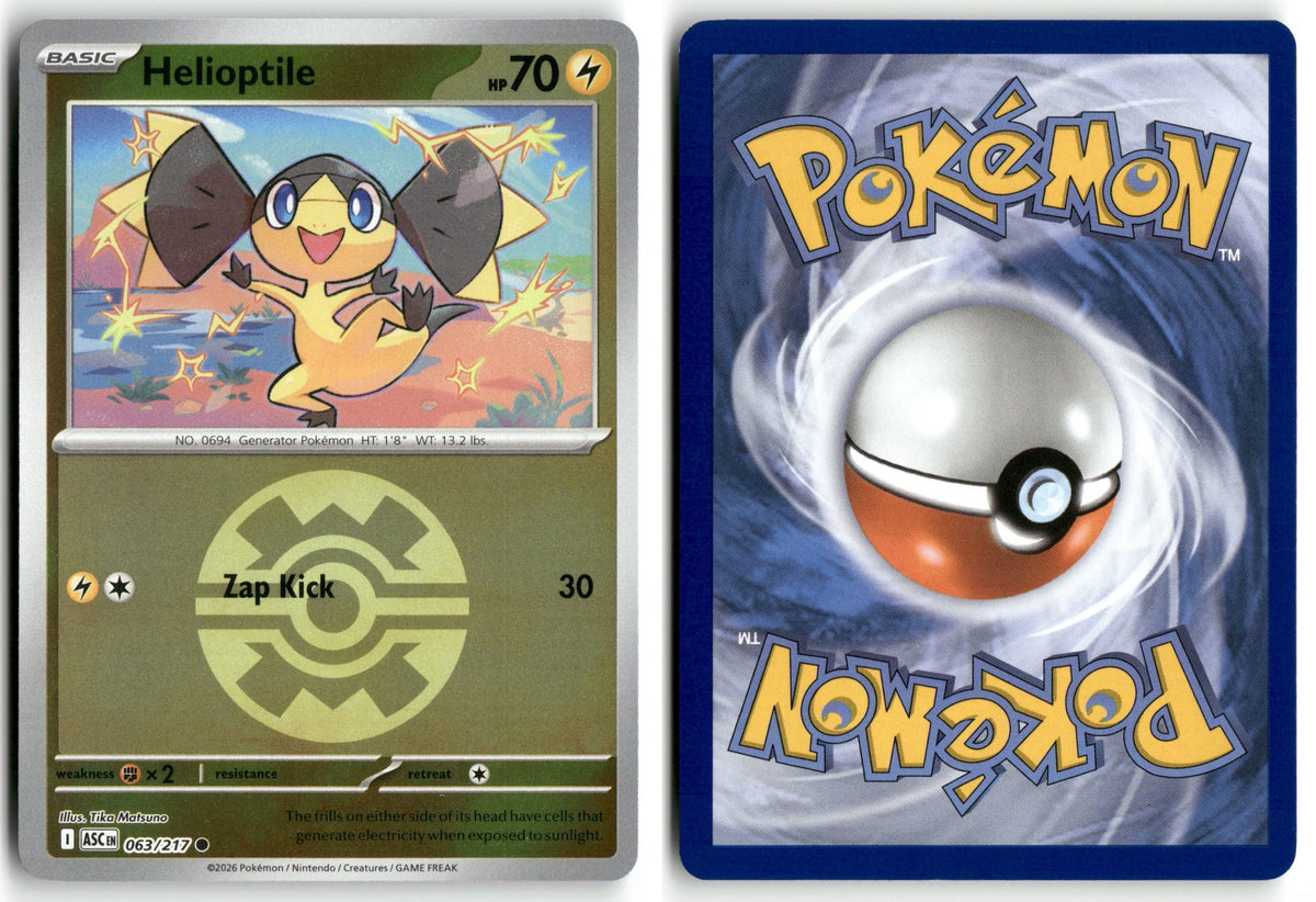 Front + Back scan | Near Mint / English / Reverse Holofoil