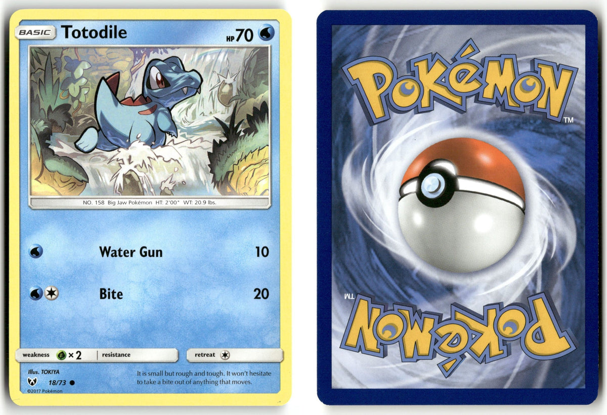 Front + Back scan | Near Mint / English / Normal