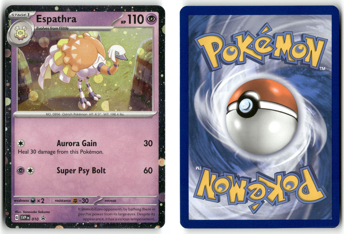 Front + Back scan