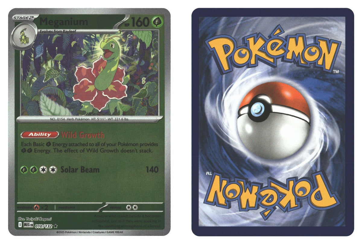 Front + Back scan | Near Mint / English / Normal