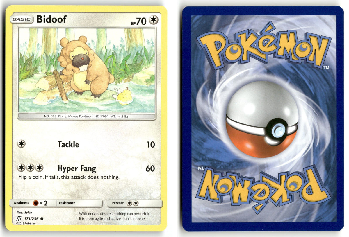 Front + Back scan | Near Mint / English / Normal