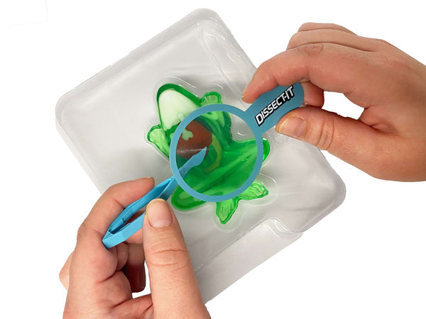 Dissect-It Mini Labs - Frog