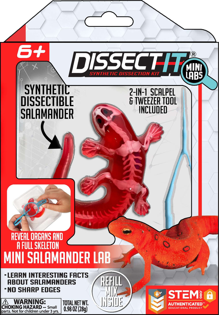 Dissect-It Mini Labs - Salamander – Rocket City Toys