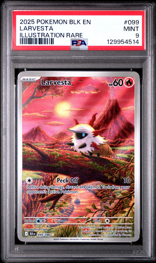 2025 POKEMON BLK EN-BLACK BOLT 099 LARVESTA ILLUSTRATION RARE PSA 9