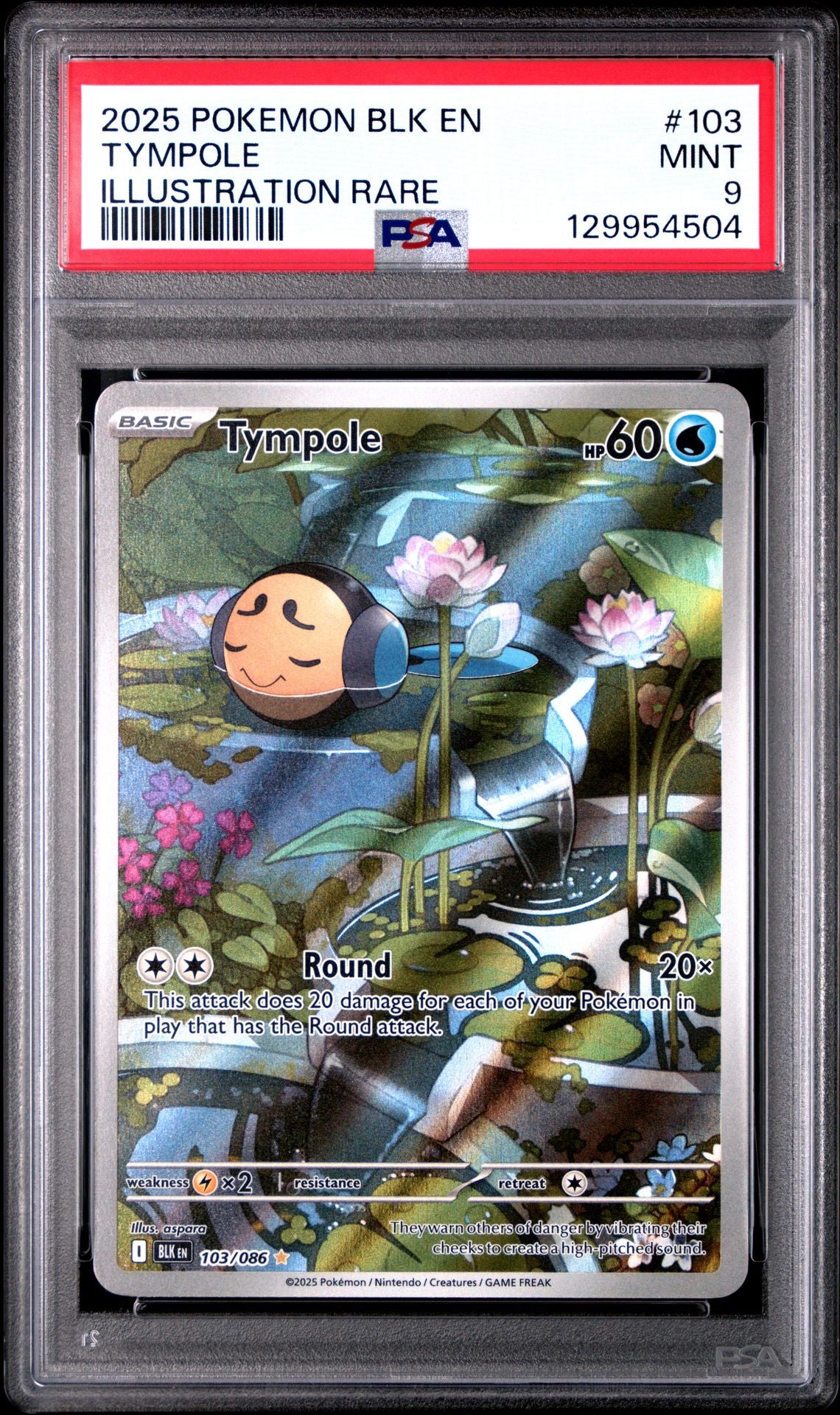 2025 POKEMON BLK EN-BLACK BOLT 103 TYMPOLE ILLUSTRATION RARE PSA 9