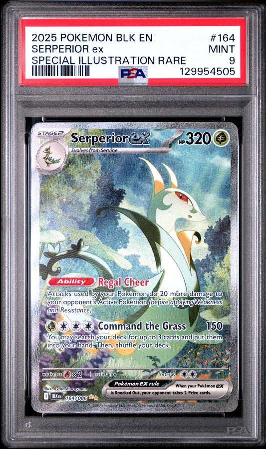 2025 POKEMON BLK EN-BLACK BOLT 164 SERPERIOR EX SPECIAL ILLUSTRATION RARE PSA 9