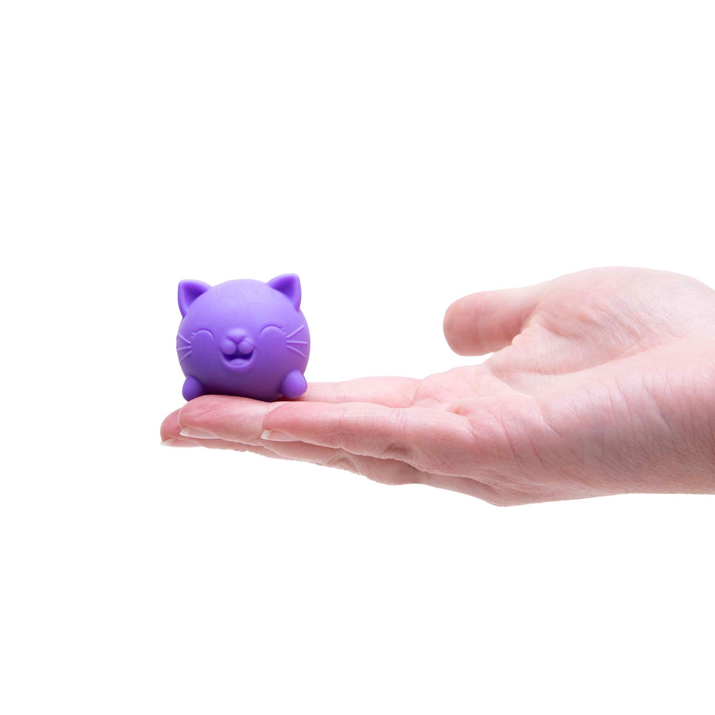 Teenie Needoh Cool Kittens Multi Pack