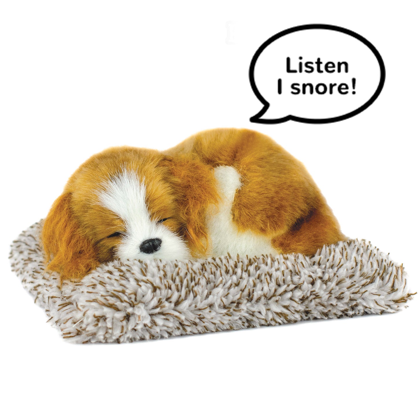 Mini Perfect Petzzz - Cavalier King Charles