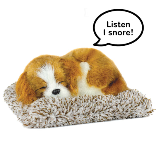 Mini Perfect Petzzz - Cavalier King Charles
