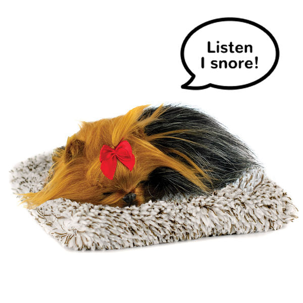 Mini Perfect Petzzz - Yorkie