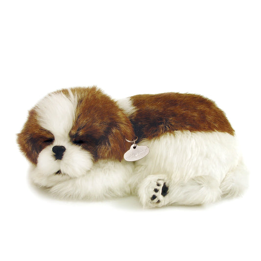 Original Shih Tzu Perfect Petzzz