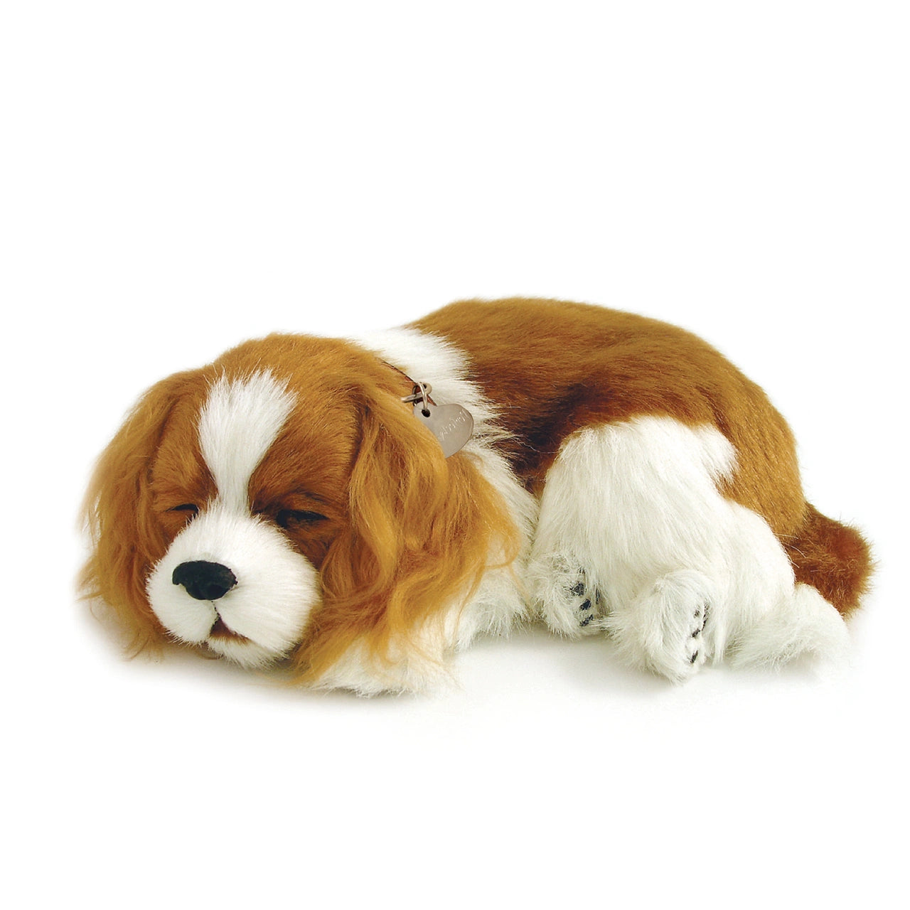 Original Cavalier King Charles Perfect Petzzz