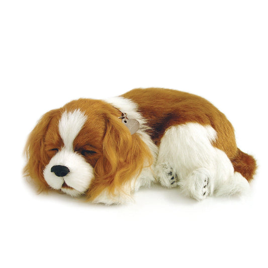 Original Cavalier King Charles Perfect Petzzz