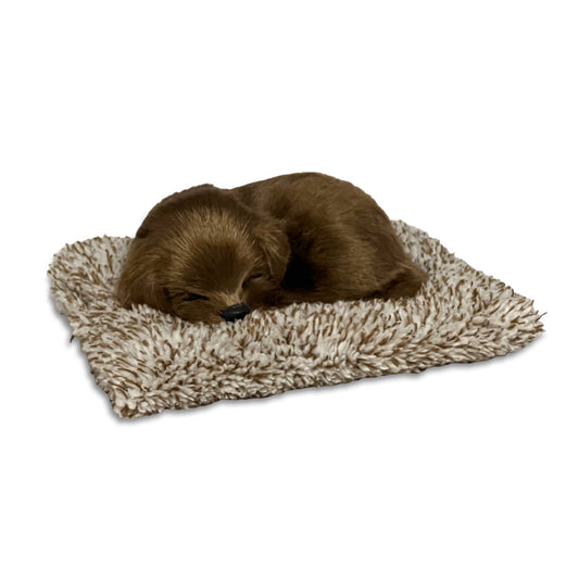 Perfect Petzzz: Mini Perfect Petzzz - Chocolate Lab Plush