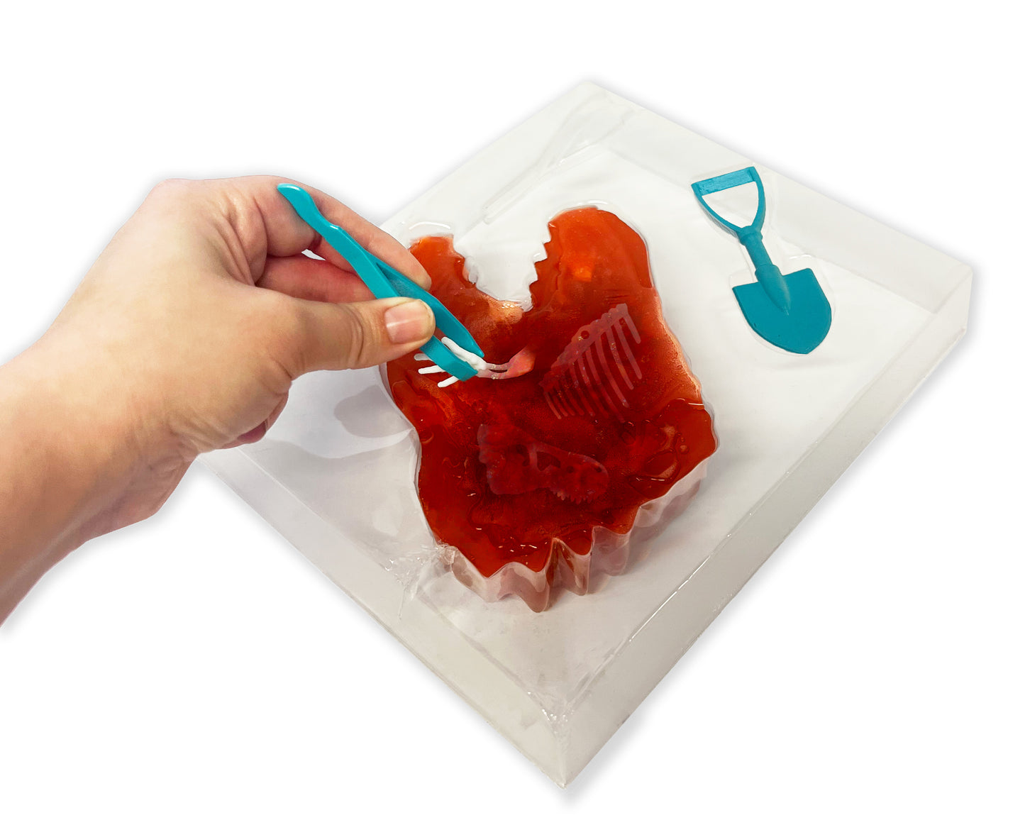 Discover-It Dino Dig