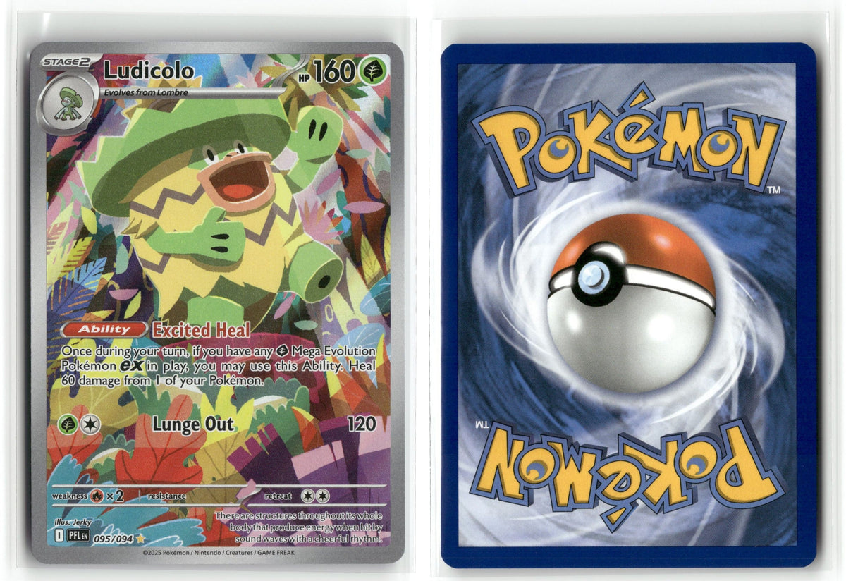 Front + Back scan