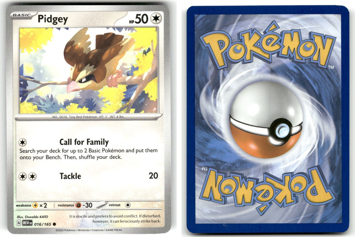Front + Back scan | Near Mint / English / Normal
