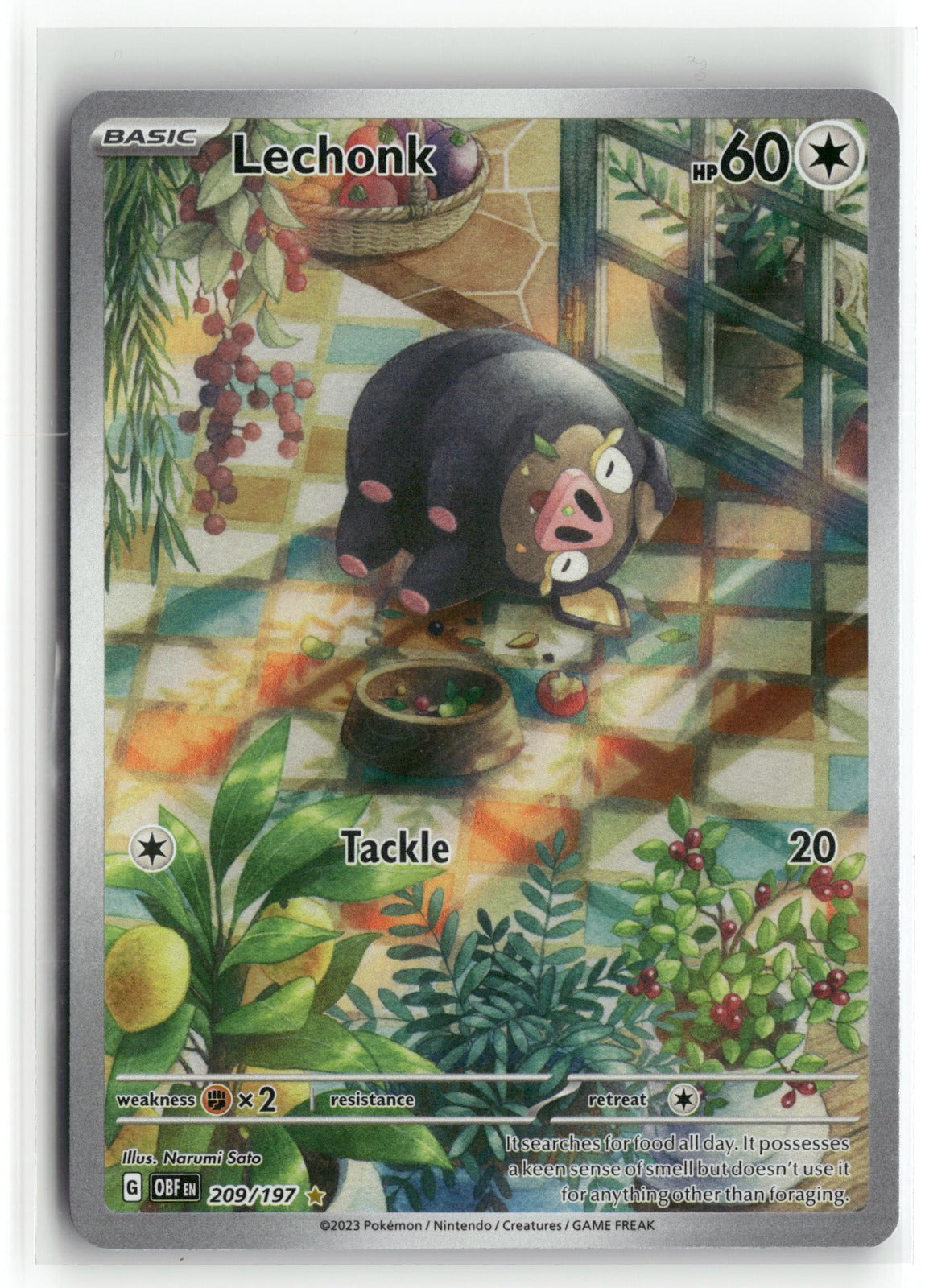 Pokemon SV03: Obsidian Flames Lechonk 209/197 Holo