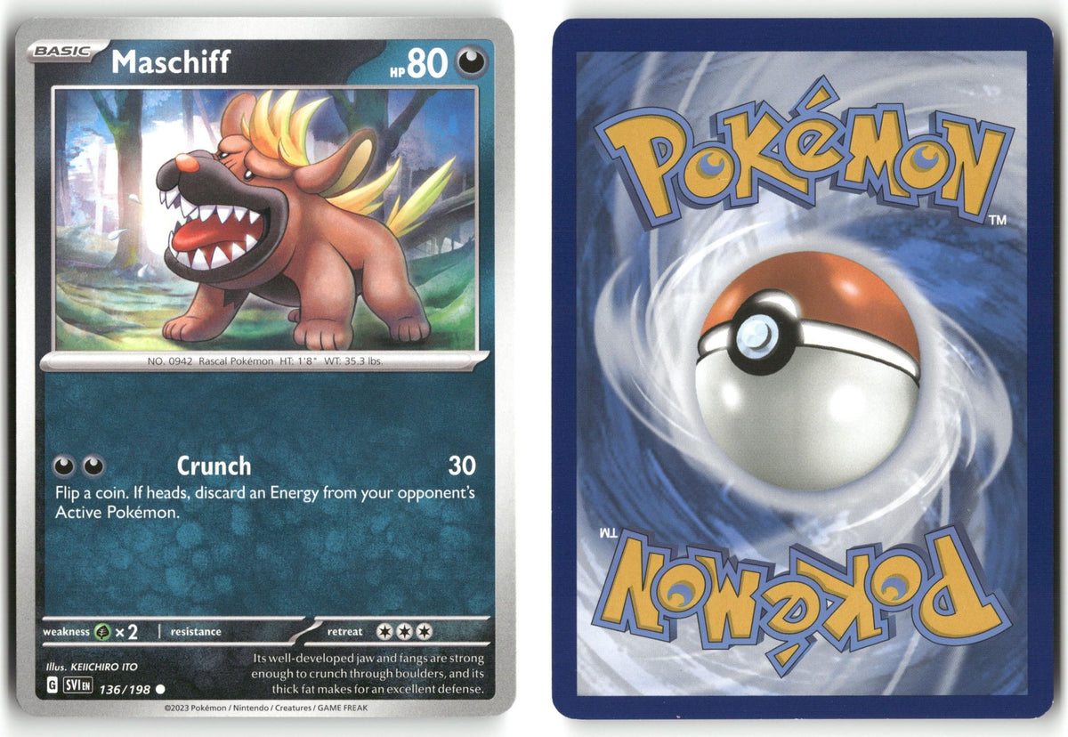 Front + Back scan | Near Mint / English / Normal