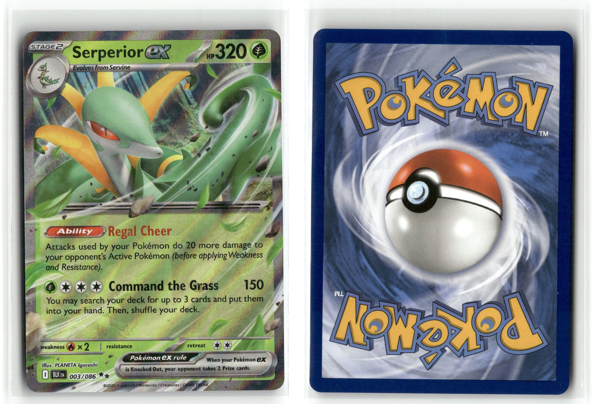 Front + Back scan