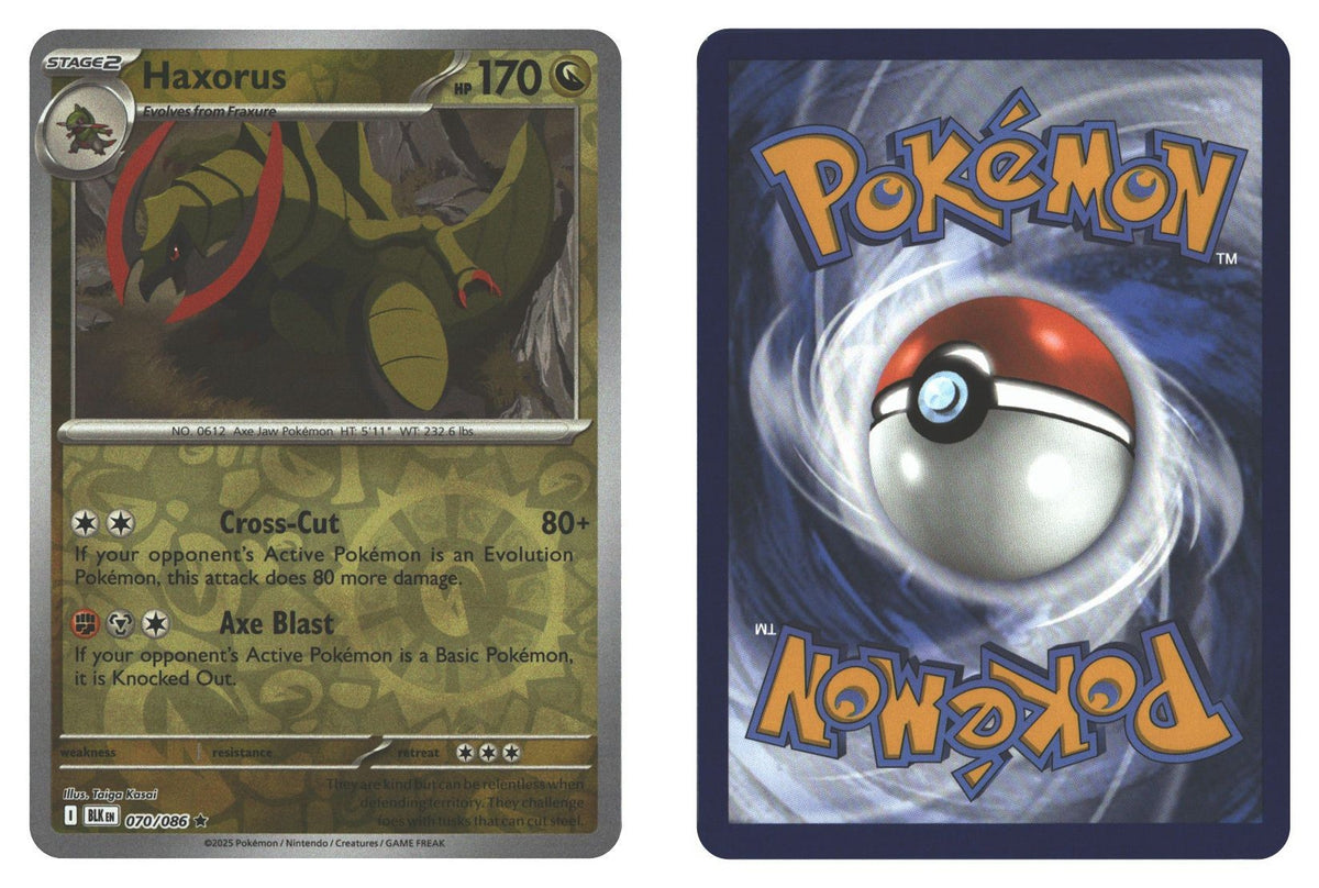 Front + Back scan | Near Mint / English / Reverse Holofoil