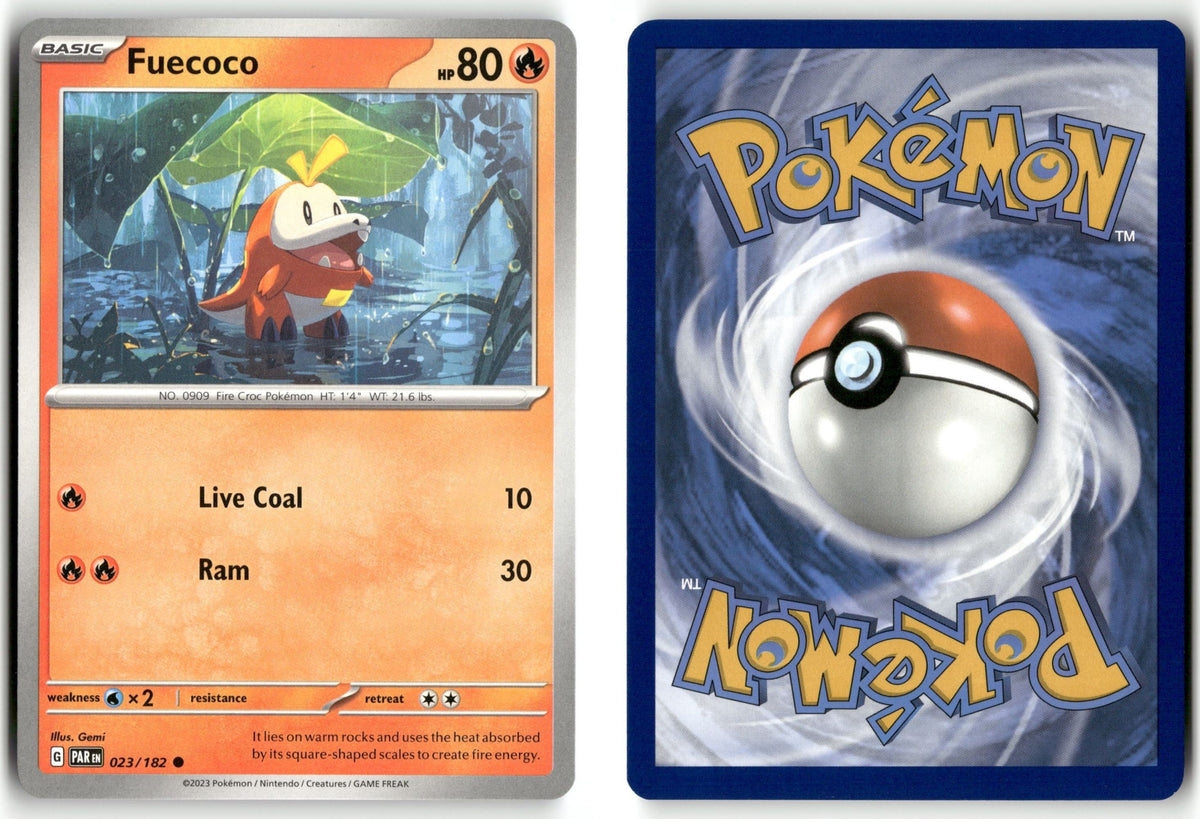 Front + Back scan | Near Mint / English / Normal