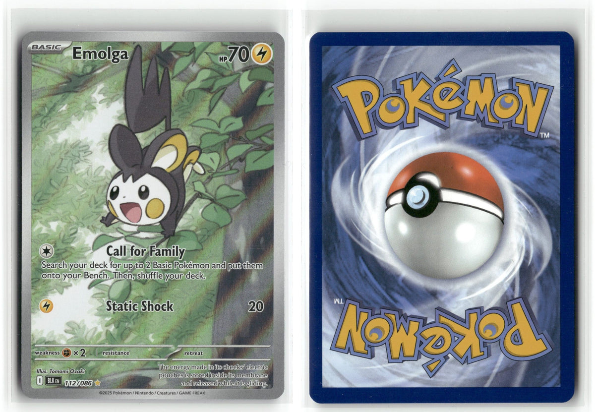 Front + Back scan