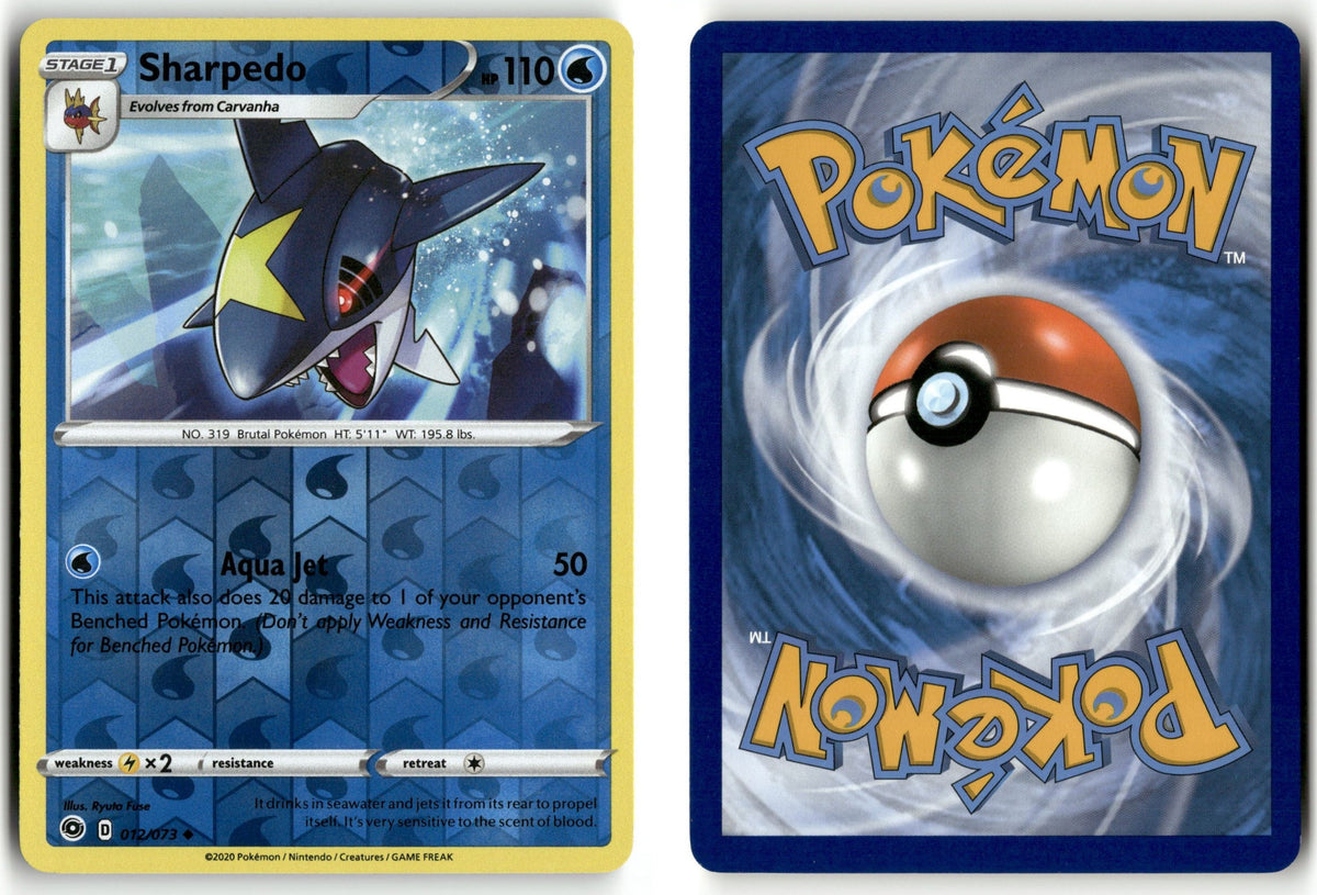 Front + Back scan