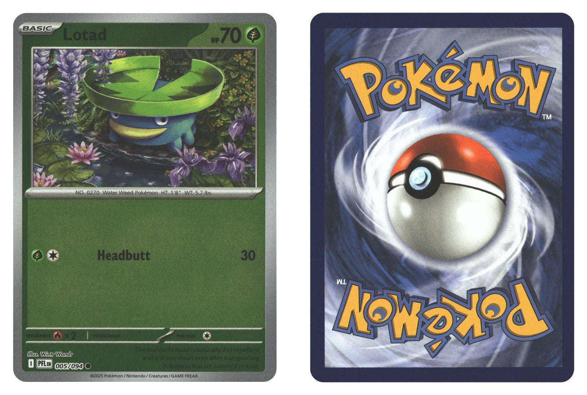Front + Back scan | Near Mint / English / Reverse Holofoil