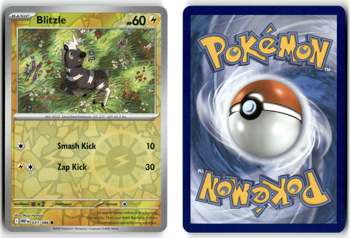 Front + Back scan | Near Mint / English / Reverse Holofoil