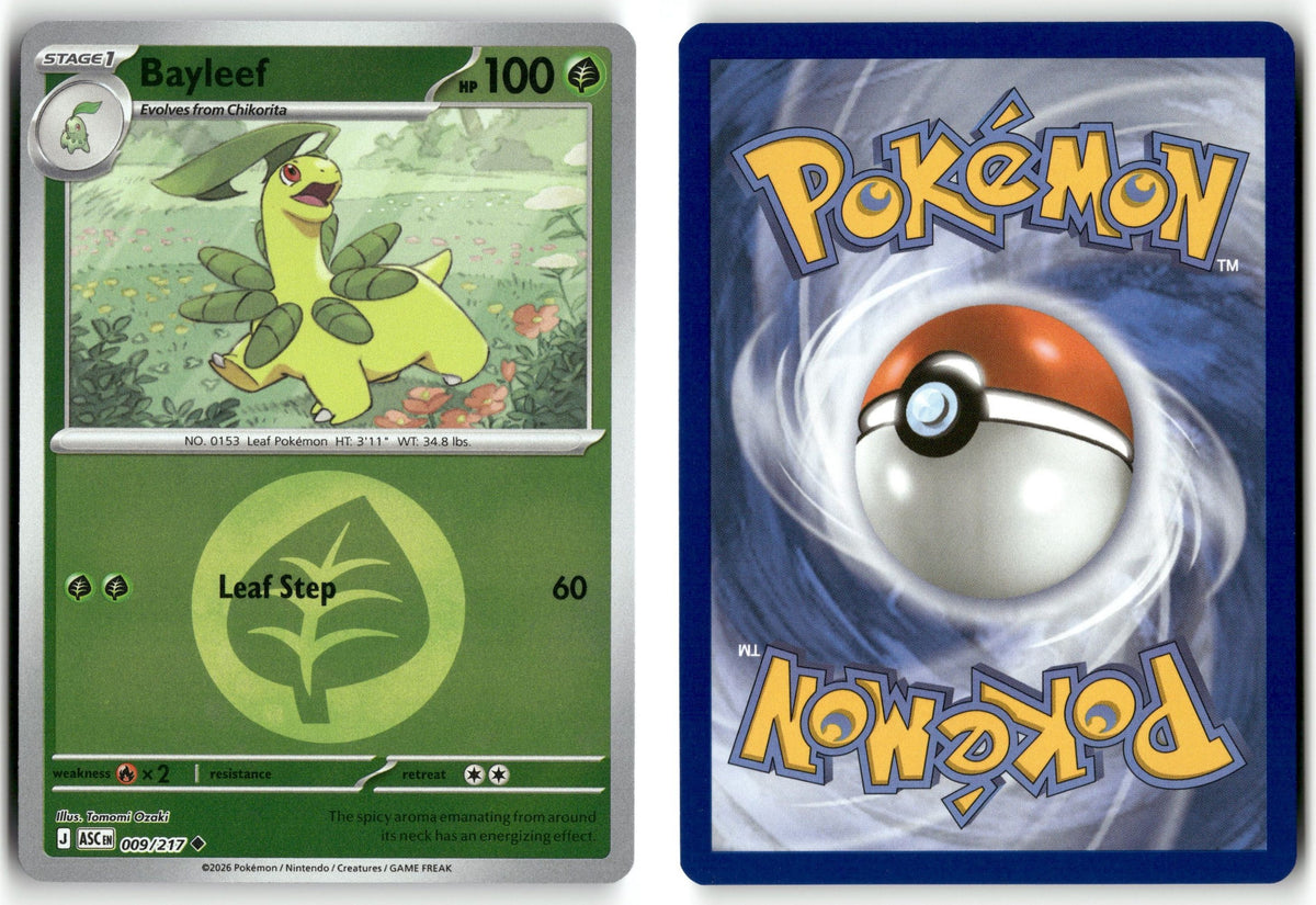 Front + Back scan | Near Mint / English / Reverse Holofoil