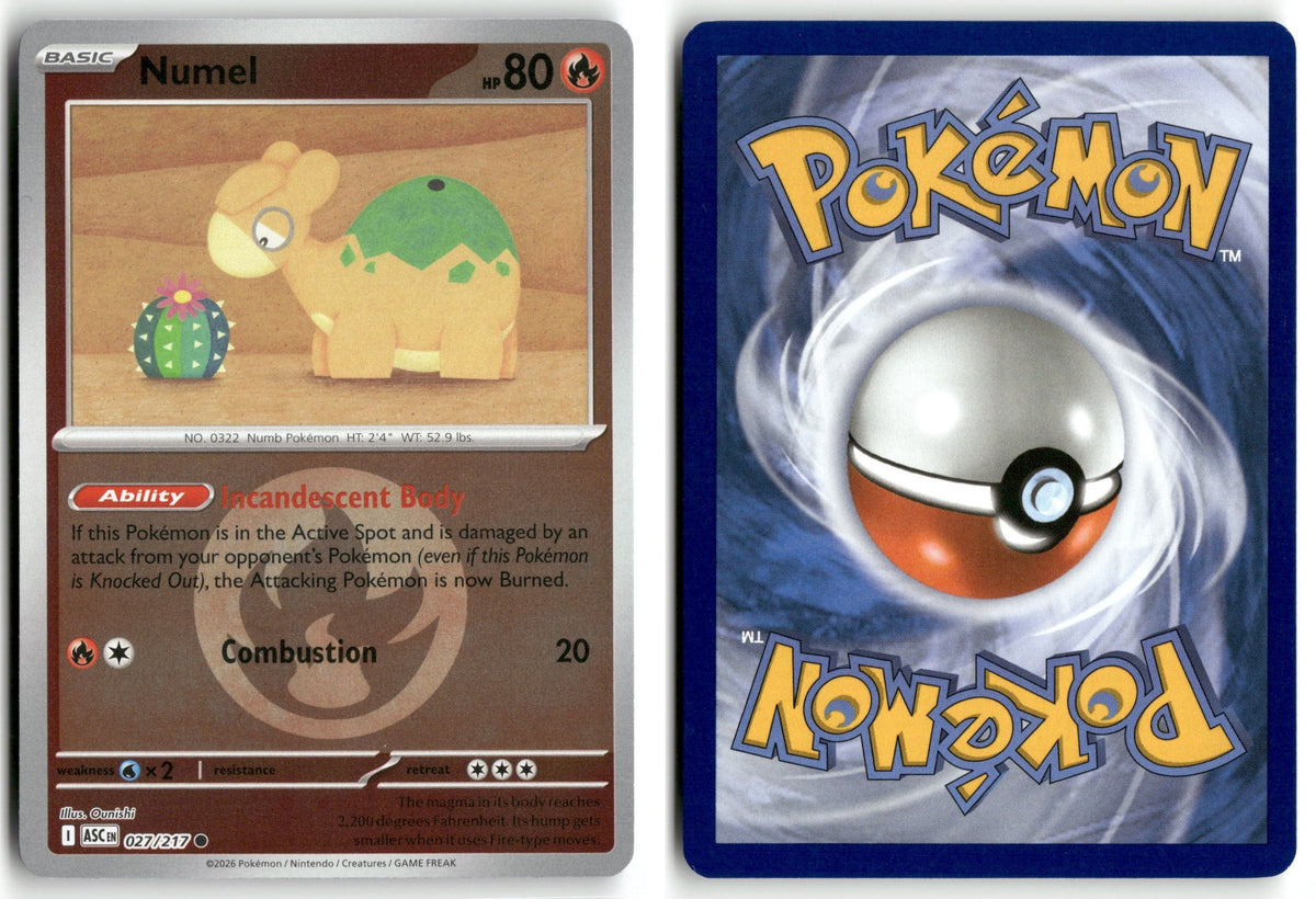 Front + Back scan | Near Mint / English / Reverse Holofoil