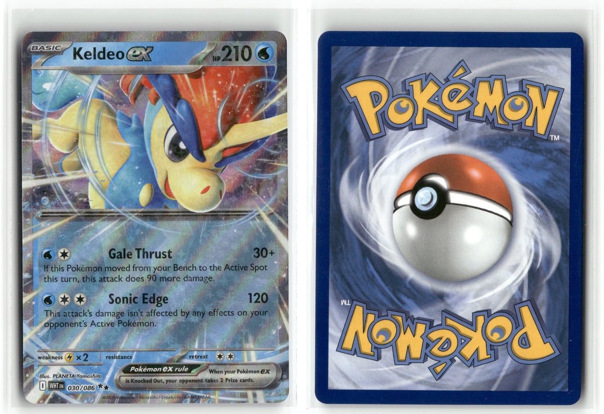 Front + Back scan