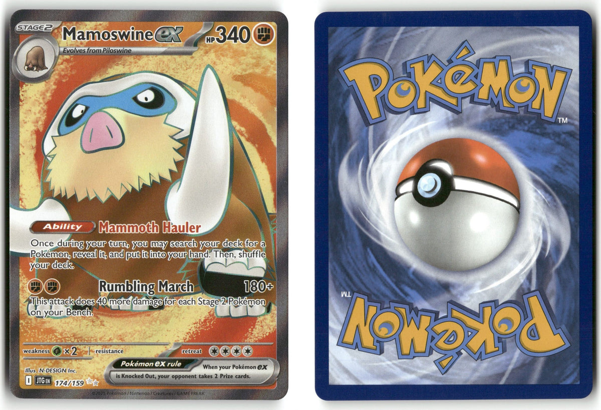 Front + Back scan