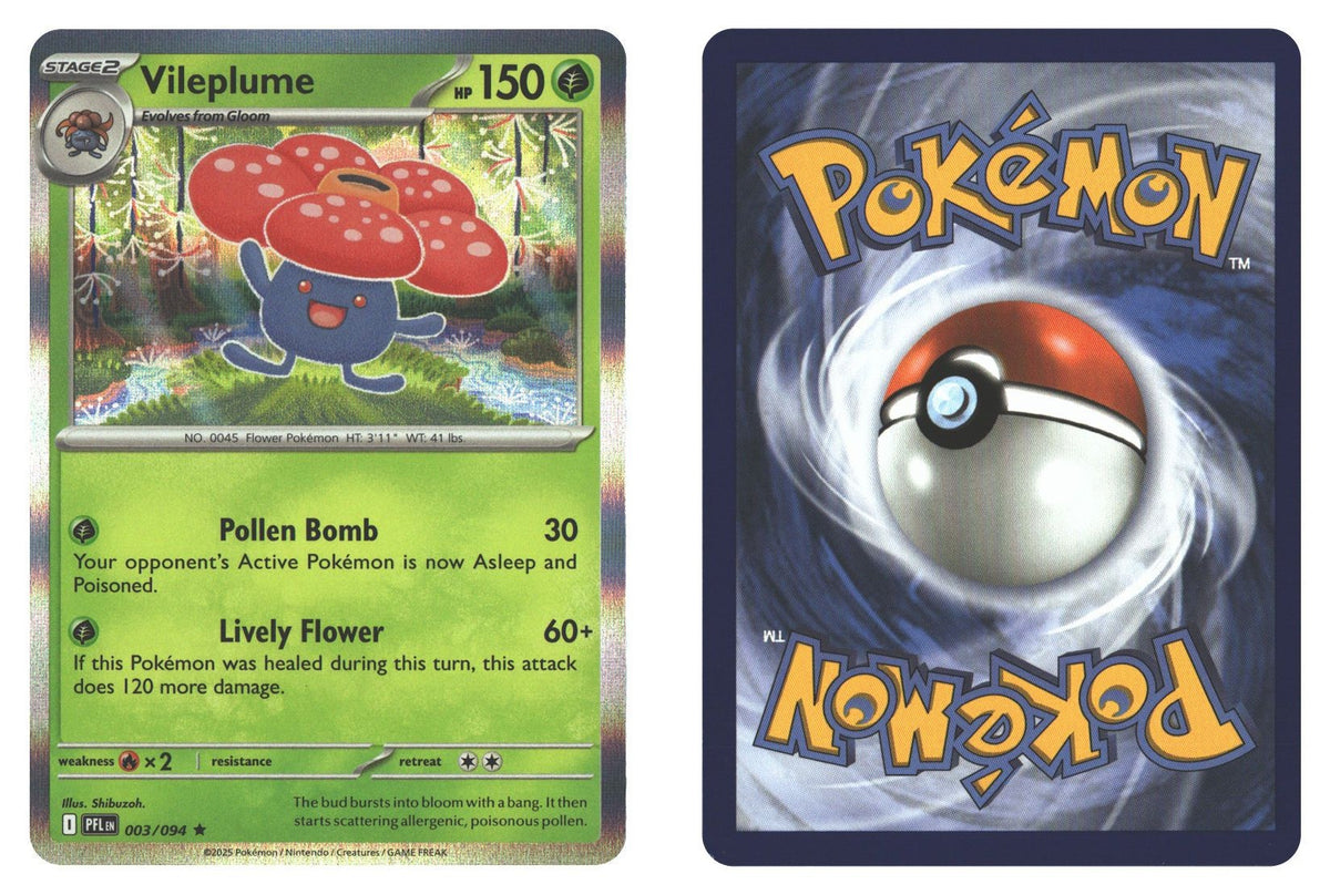 Front + Back scan | Near Mint / English / Holofoil