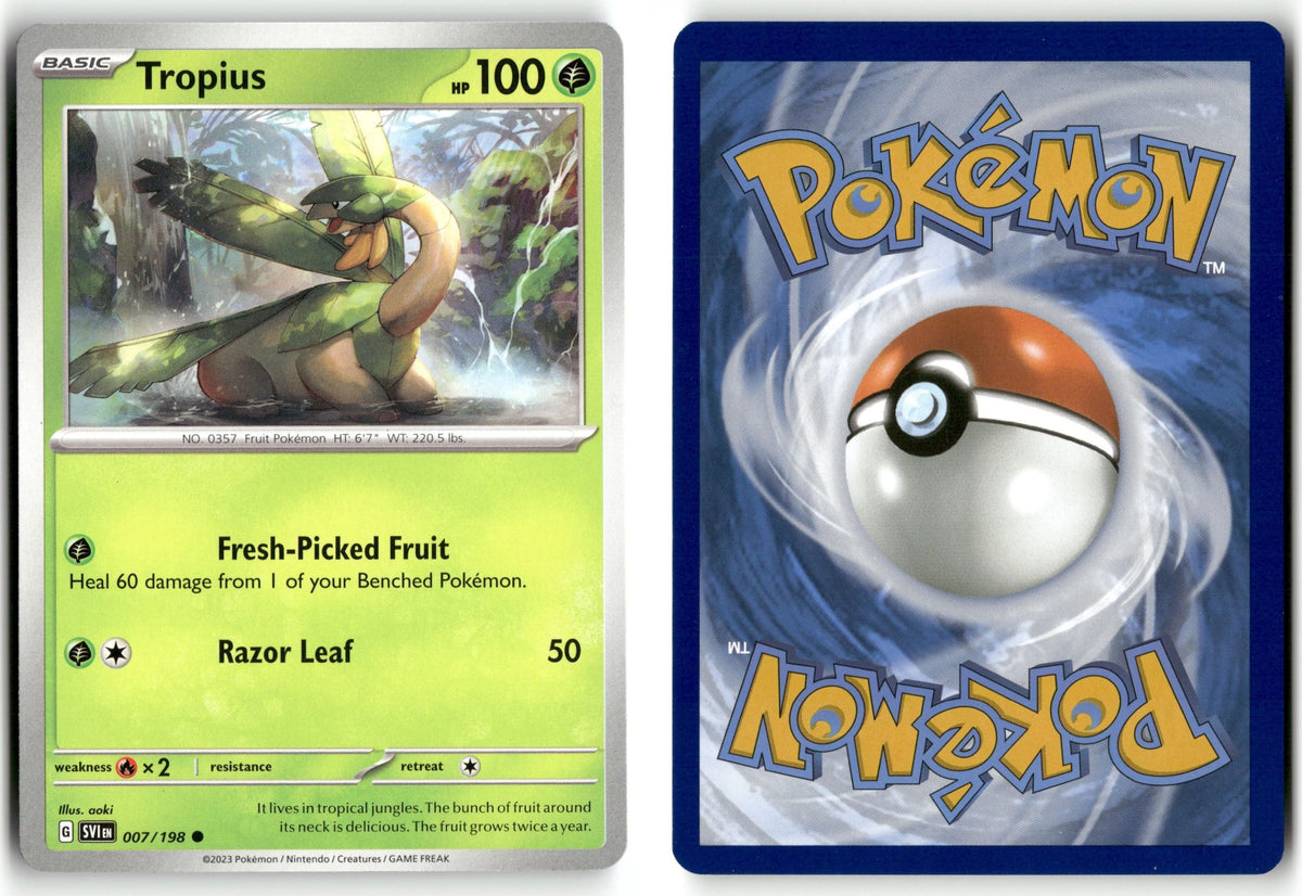 Front + Back scan | Near Mint / English / Normal