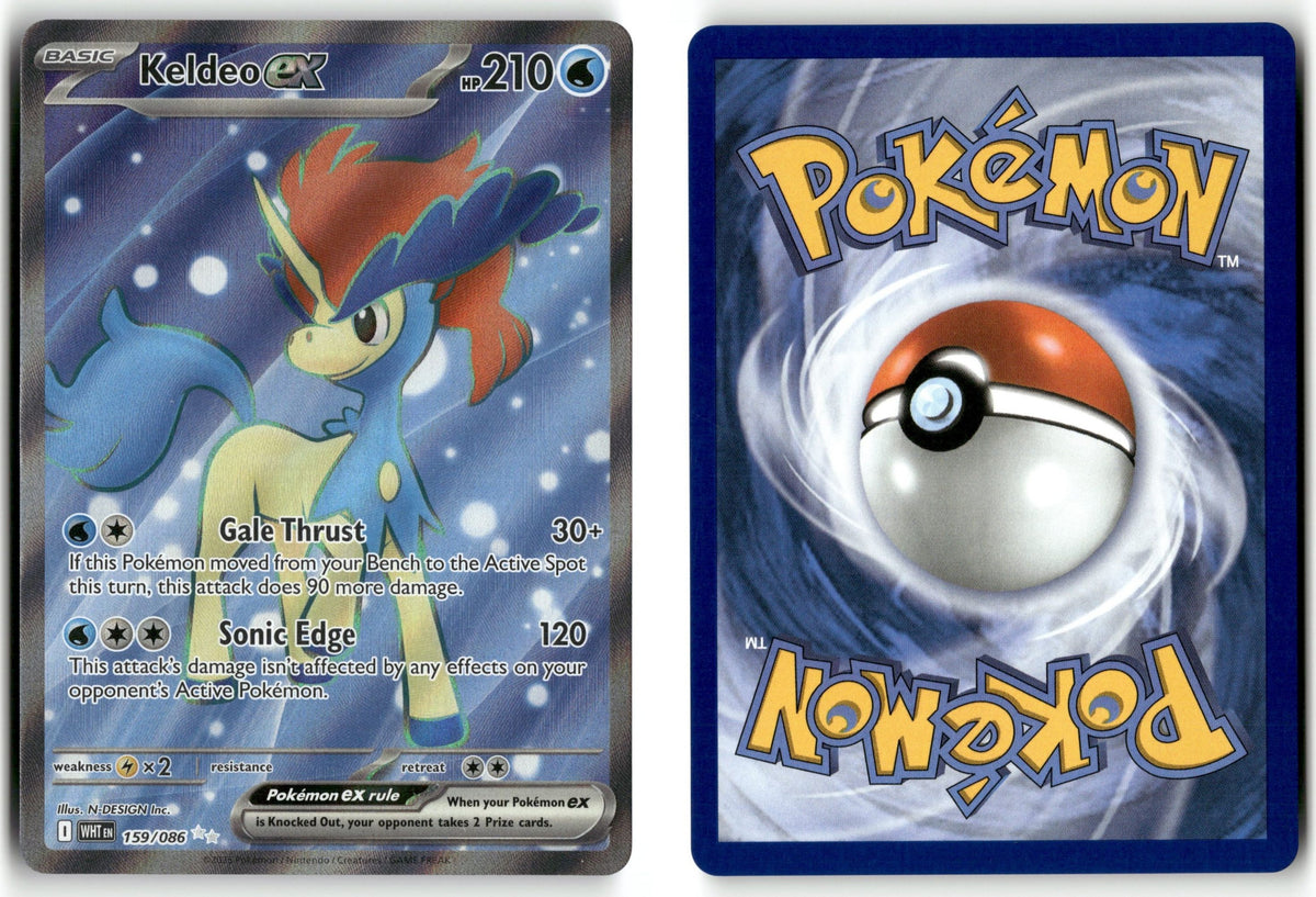 Front + Back scan
