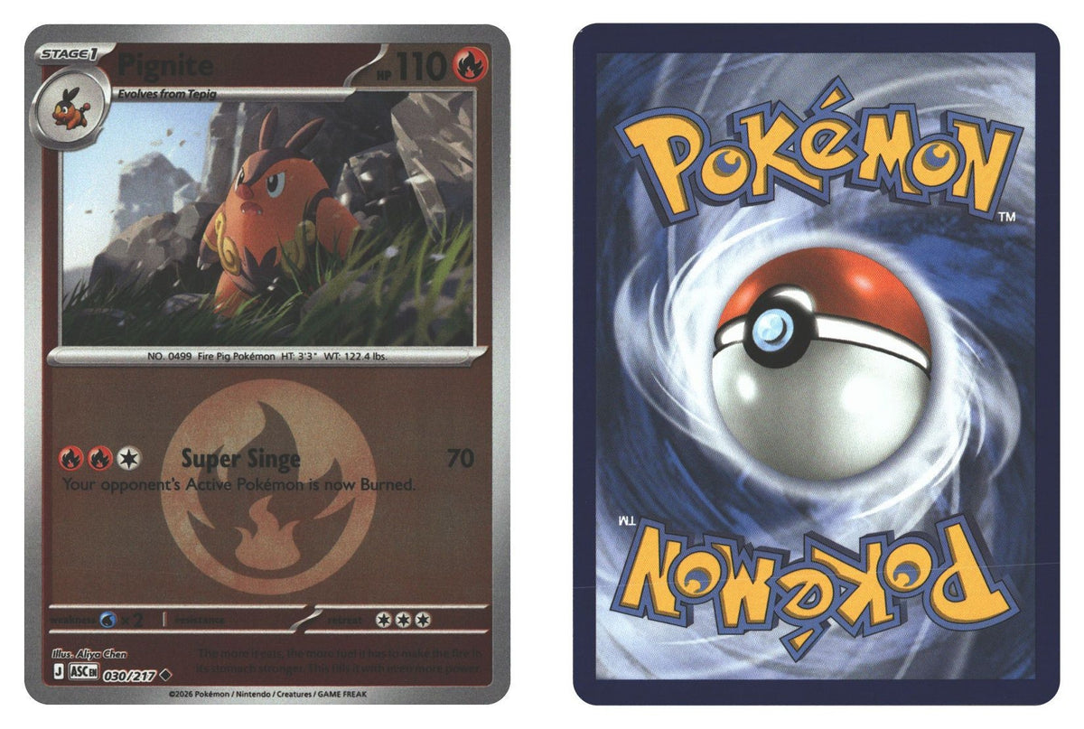 Front + Back scan | Near Mint / English / Reverse Holofoil