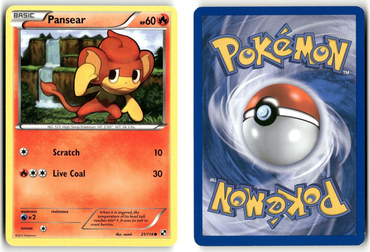 Front + Back scan | Near Mint / English / Normal