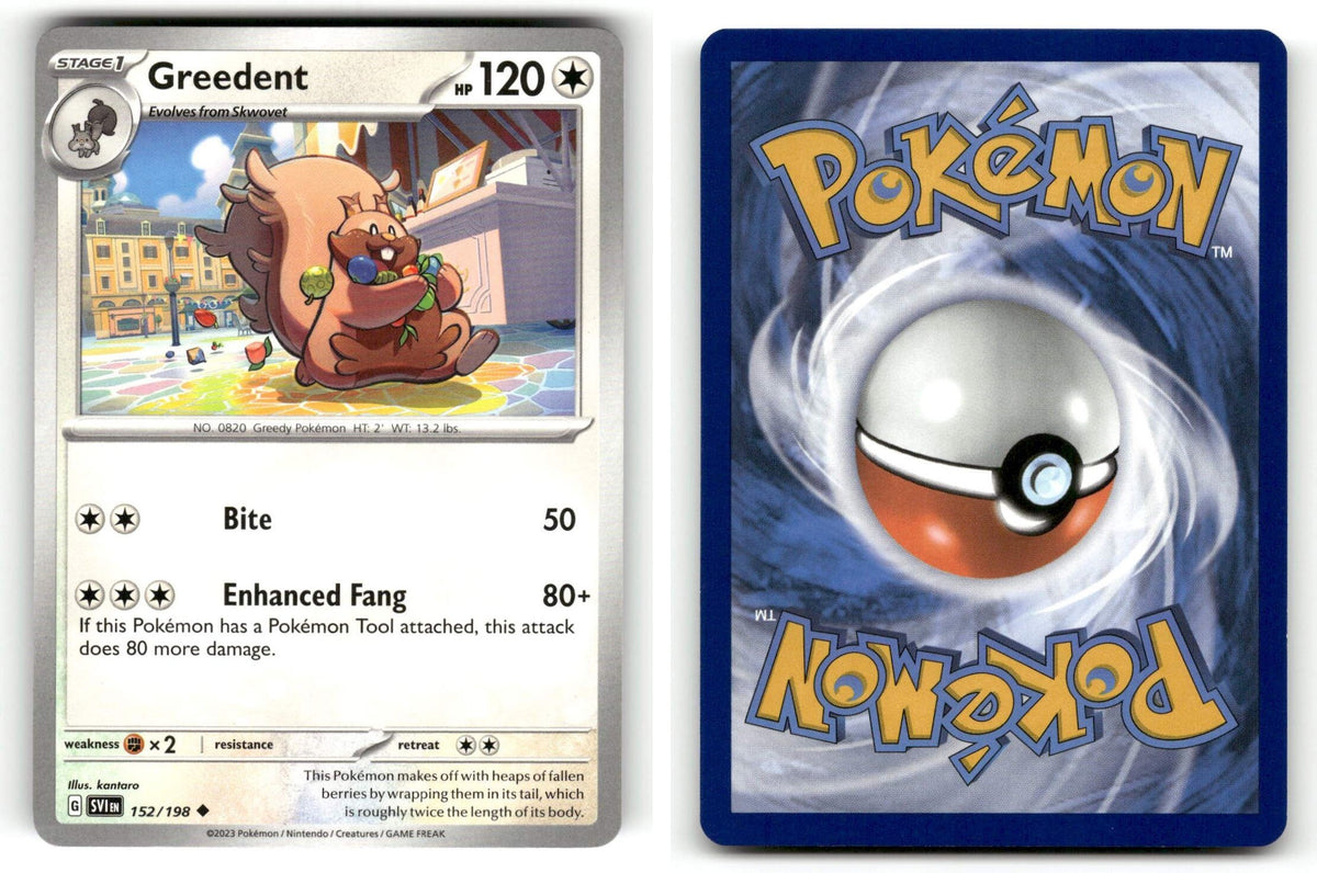 Front + Back scan | Near Mint / English / Normal