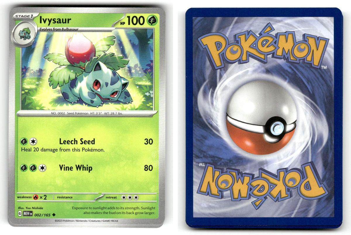 Front + Back scan | Near Mint / English / Normal