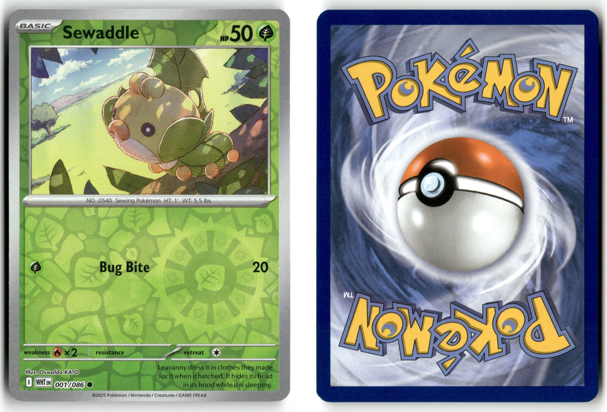 Front + Back scan