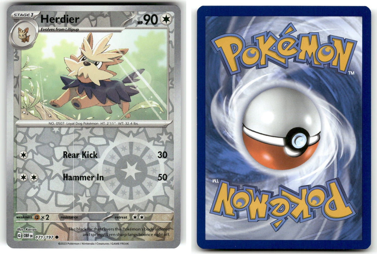 Front + Back scan | Near Mint / English / Reverse Holofoil