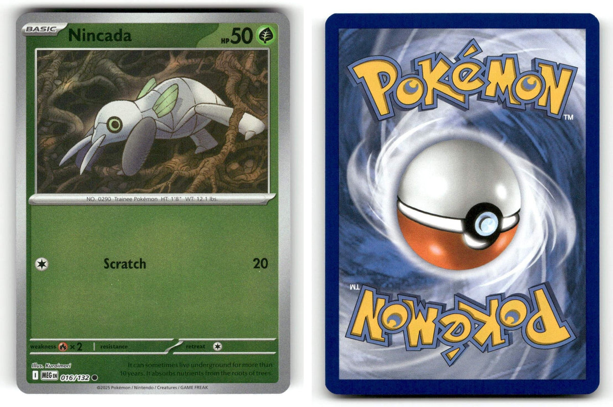 Front + Back scan | Near Mint / English / Reverse Holofoil