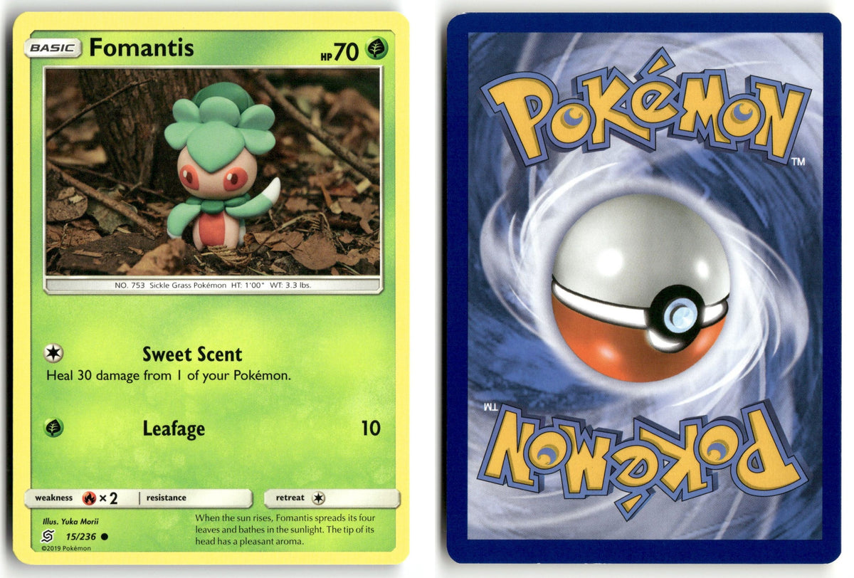 Front + Back scan | Near Mint / English / Normal